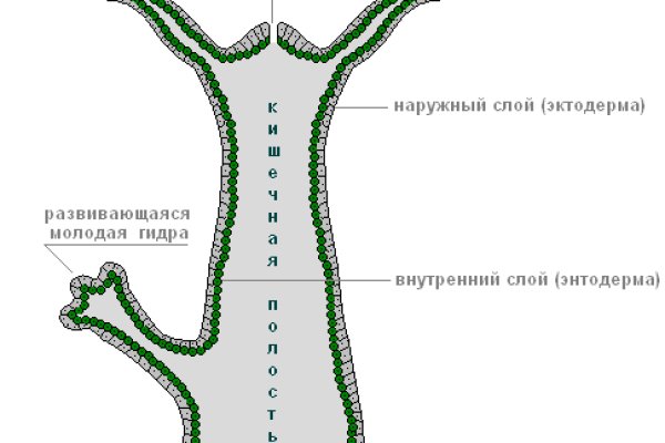 Войти даркнет