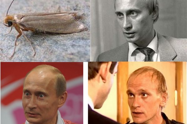 Kraken вход kraken torion