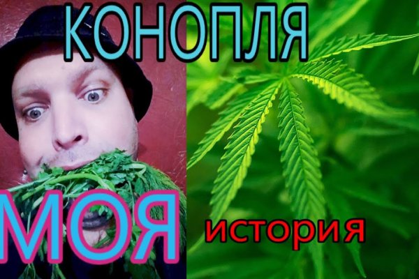 Кракен современный даркнет маркетплейс