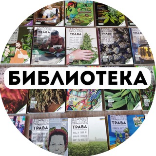 Кракен шоп зеркало