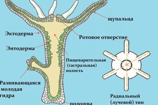 Кракен тор ссылка сегодня