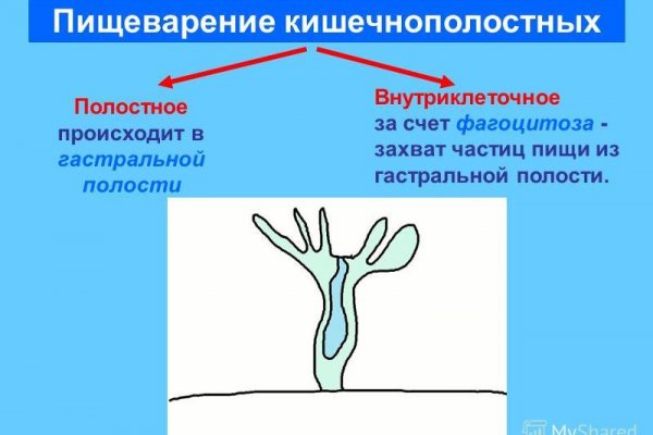 Кракен ссылка 2web krakendark link