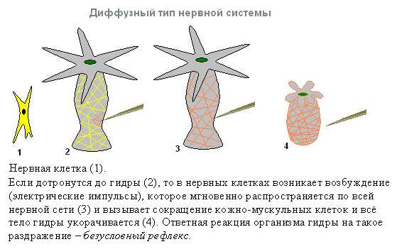 Kraken даркнет рынок ссылка