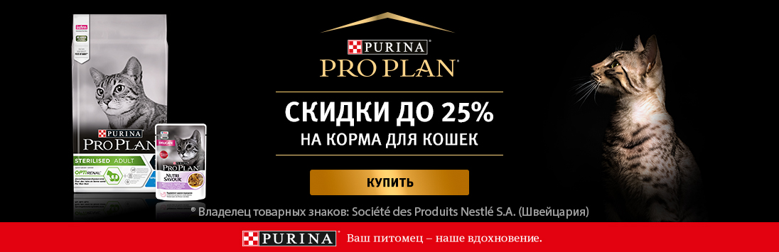 Kraken сайт kraken torion